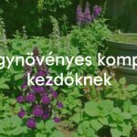 A lush garden with vibrant medicinal herbs and compost bin, illustrating eco-friendly composting for beginners, natural light, realistic.