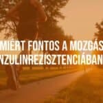 A person jogging in a park during sunset, symbolizing exercise for insulin resistance, vibrant and motivational atmosphere, realistic.