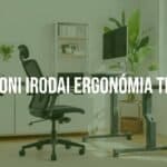 A modern home office setup with ergonomic chair, adjustable desk, and proper monitor height, bright and organized workspace, realistic.