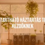 Sustainable home with eco-friendly elements, energy-saving appliances, recycling bins, and green plants, cozy and modern interior, natural lighting.